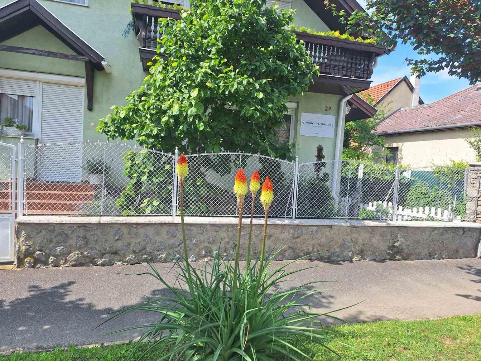Rohonci Vendégház Kőszeg Esterno foto